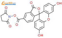 5-羧基荧光素琥珀酰亚胺酯结构式图片|92557-80-7结构式图片