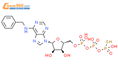 N6-Benzyl-ATPgammaS结构式图片|944834-42-8结构式图片