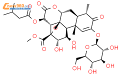 鸦胆子苷 A结构式图片|95258-15-4结构式图片