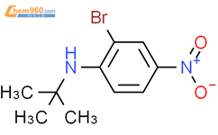 2-溴-N-叔丁基-4-硝基苯胺结构式图片|952664-76-5结构式图片