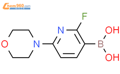 2-氟-6-(4-吗啉基)吡啶-3-硼酸结构式图片|955374-17-1结构式图片