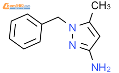 Benzyl Methyl H Pyrazol Amine