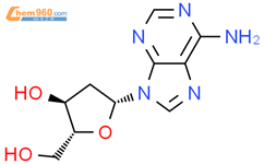 2'-脱氧腺苷结构式图片|958-09-8结构式图片