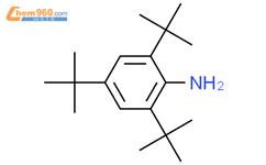 2,4,6-三叔丁基苯胺结构式图片|961-38-6结构式图片