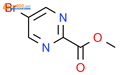 2-Pyrimidinecarboxylicacid, 5-bromo-, methyl ester