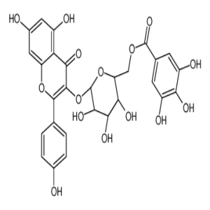 山奈酚 3-O-(6''-没食子酰基)-β-D-吡喃葡萄糖苷
