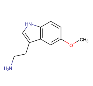 ML 2024-08