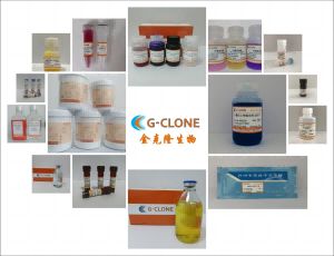 CCK-8细胞增殖及毒性检测试剂盒