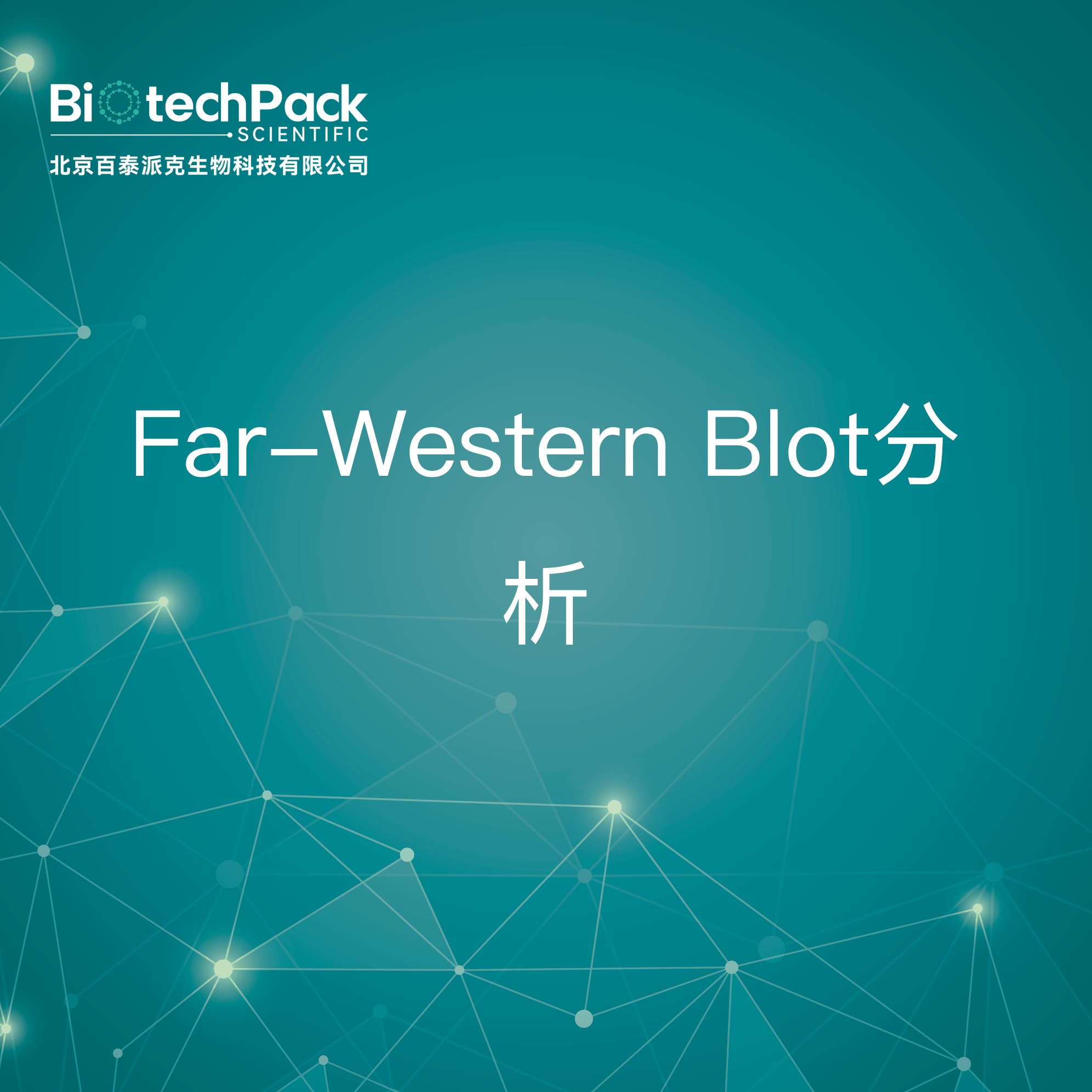 Far-Western Blot分析-检测技术服务