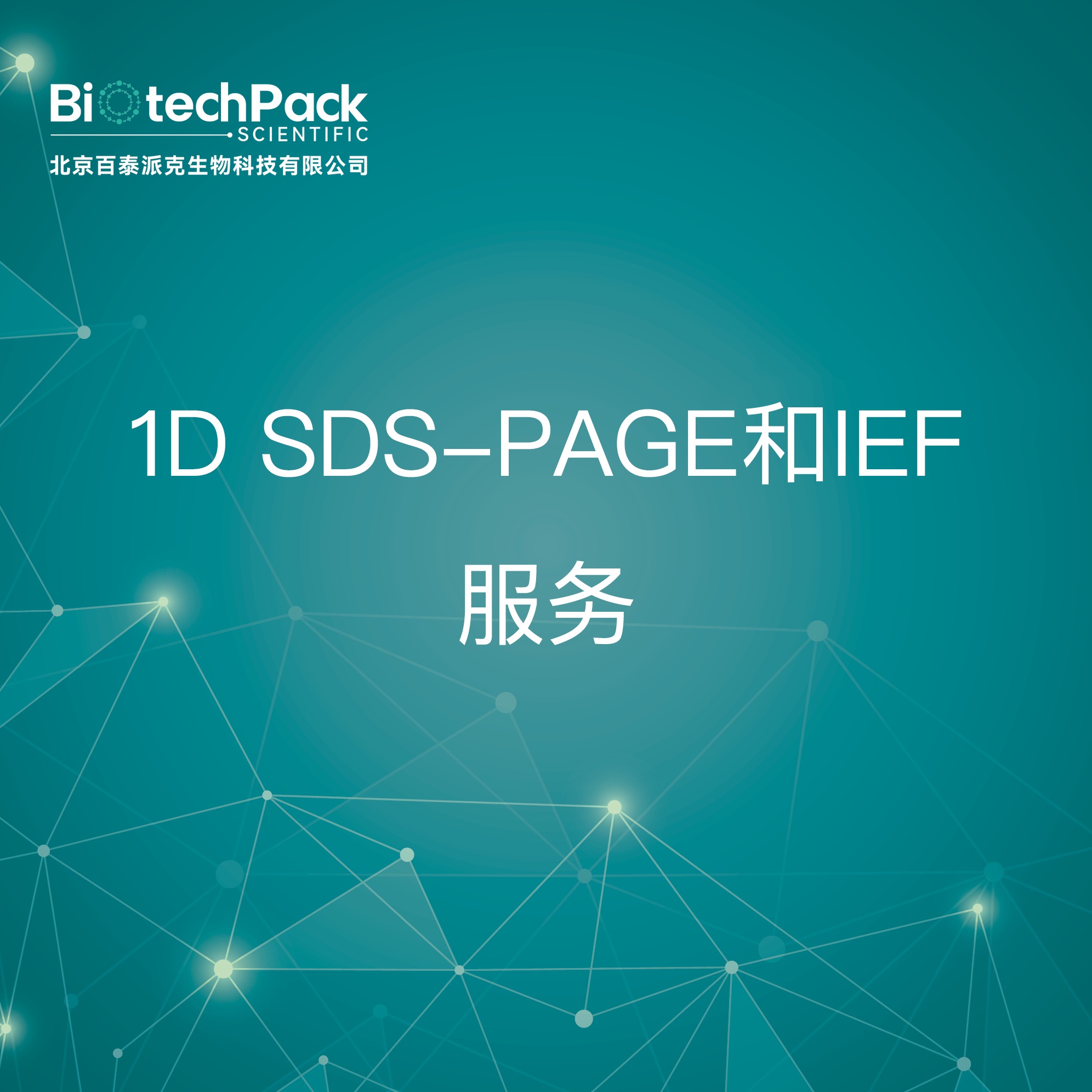 1d-sds-page-ief-sds-page-960