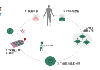 综合性的CAR-T细胞疗法开发解决方案