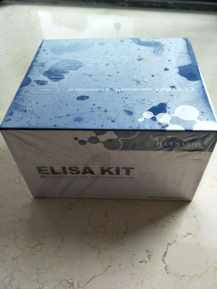人白介素6(IL-6) ELISA试剂盒