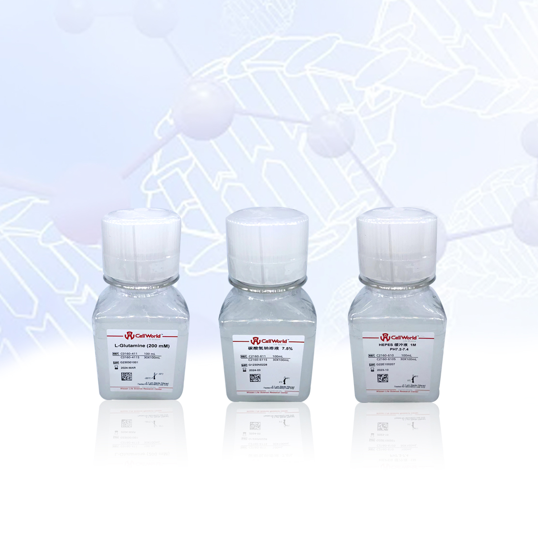 CellWorld MEM 氨基酸溶液 (50X) C0460-417