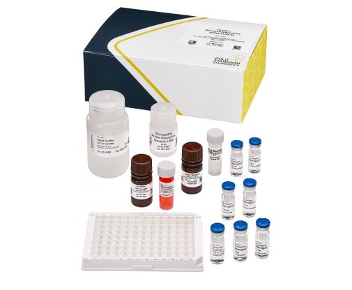 微囊藻素ADDA ELISA检测试剂盒