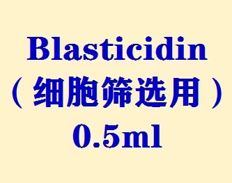 Blasticidin（细胞筛选用）