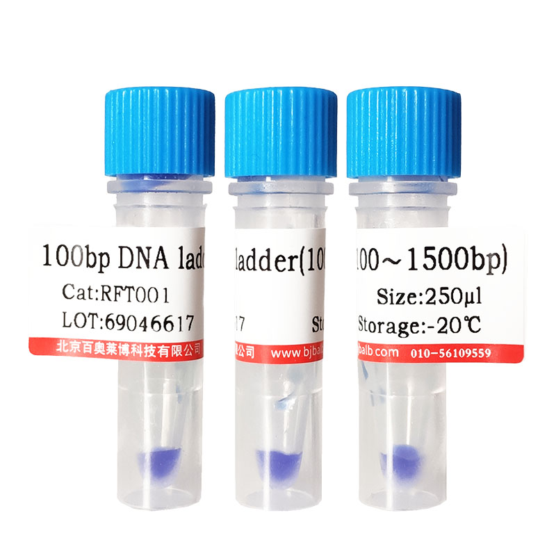 血清白蛋白/免疫球蛋白清除试剂盒