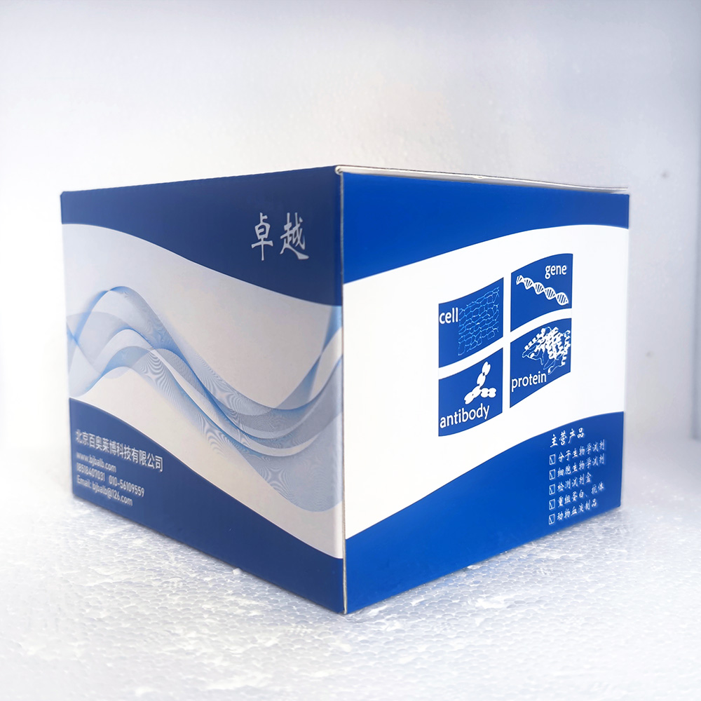 caspase-10抑制剂药物筛选试剂盒