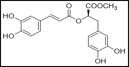 methyl rosmarinate