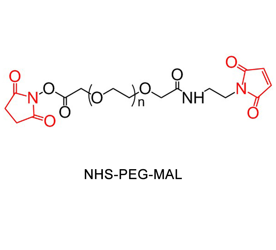 琥珀酰亚胺酯-聚乙二醇-马来酰亚胺结构式图片|结构式图片