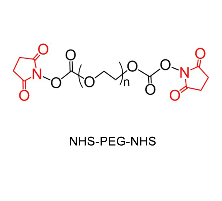 琥珀酰亚胺酯-聚乙二醇-琥珀酰亚胺酯结构式图片|结构式图片