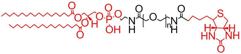 二硬脂酰基磷脂酰乙醇胺-聚乙二醇-生物素结构式图片|结构式图片