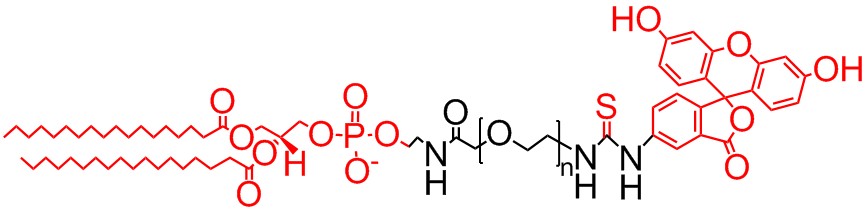 二硬脂酰基磷脂酰乙醇胺-聚乙二醇-荧光素结构式图片|结构式图片