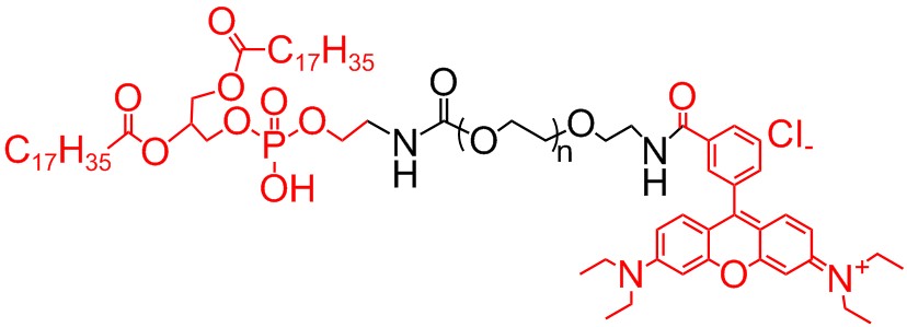 二硬脂酰基磷脂酰乙醇胺-聚乙二醇-罗丹明结构式图片|结构式图片