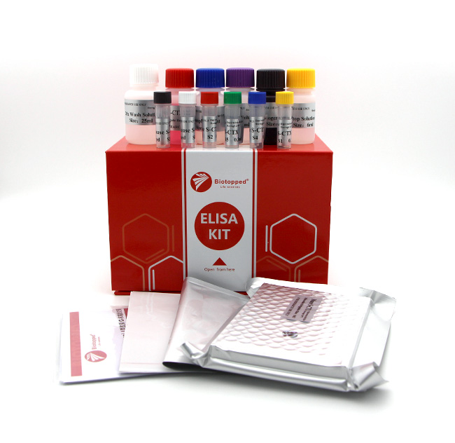 大鼠视黄醇结合蛋白(RBP)ELISA Kit