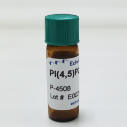 PIP带 - 脂质-蛋白质相互作用分析试剂盒