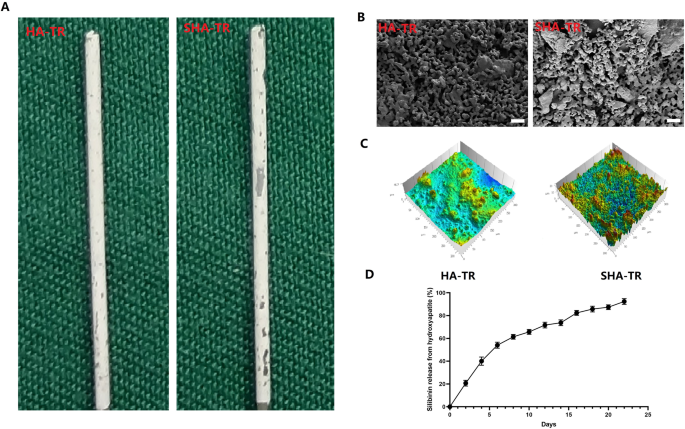 Silibinin-modified hydroxyapatite coating promotes the osseointegration