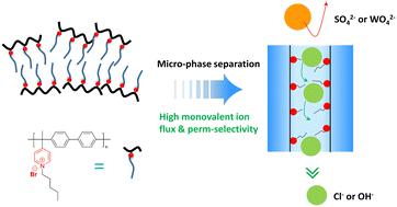 Poly(alkyl-biphenyl pyridinium) anion exchange membranes with a hydrophobic side chain for mono-/divalent anion separation