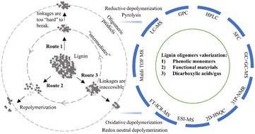 Perspective on oligomeric products from lignin depolymerization: their generation, identification, and further valorization