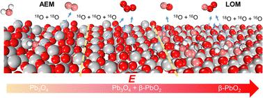 Phase shuttling-enhanced electrochemical ozone production