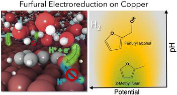 Unraveling the reaction mechanisms for furfural electroreduction on copper