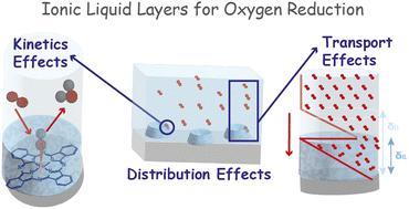 Deconvoluting kinetics and transport effects of ionic liquid layers on FeN4-based oxygen reduction catalysts