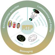 Recent progress with the application of organic room-temperature phosphorescent materials