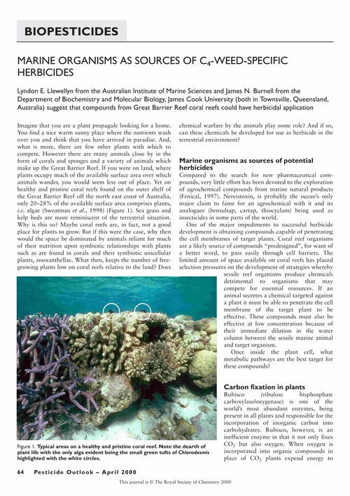 Marine organisms as sources of C4-weed-specific herbicides.