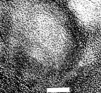 Graphical abstract: The preparation of organically functionalised chromium and nickel nanoparticles