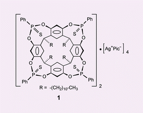 Graphical abstract: A new supramolecular assembly obtained from the combination of silver(i) cations with a thiophosphorylated cavitand