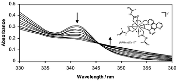 Graphical abstract: Highly emissive, nine-coordinate enantiopure lanthanide complexes incorporating tetraazatriphenylenes as probes for DNA