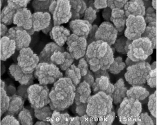 Graphical abstract: Colloidal zeolites and zeolite membranes