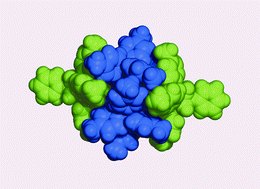 Graphical abstract: Monocarbaborane anion chemistry. An interesting encapsulation of the Pd2I2{P(C6H4-4-Me)3}4]2+ cation by a pair of [PhCB9H4I(C6H4Me)4]− anions