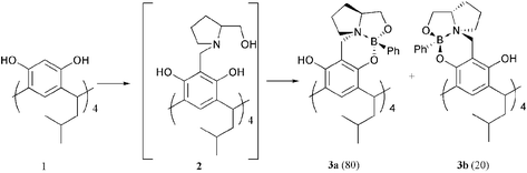 Graphical abstract: The synthesis and crystallographic structures of novel bora-oxazino-oxazolidine derivatives of resorcarene