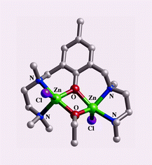 Graphical abstract: Metalloenzyme inspired dizinc catalyst for the polymerization of lactide