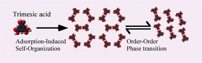 Graphical abstract: A two-dimensional molecular network structure of trimesic acid prepared by adsorption-induced self-organization