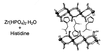 Graphical abstract: Preparation and characterisation of histidine– and iron–histidine–α-zirconium phosphate intercalation compounds. Catalytic behaviour of the iron derivatives in oxidation reactions with H2O2