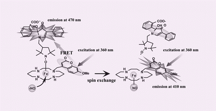 Graphical abstract: Ratiometric direct detection of nitric oxide based on a novel signal-switching mechanism