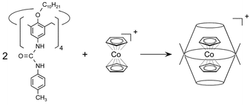 Graphical abstract: Compensation of steric demand by cation–π interactions, cobaltocenium cations as guests in tetraurea calix[4]arene dimers