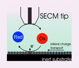 Graphical abstract: Charge injection and lateral conductivity in monolayers of metallic nanoparticles