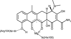 Graphical abstract: How does Mg2+ affect the binding of anhydrotetracycline in the TetR protein?